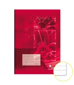 Schularbeitsbuch 564 Economy A5 gesäumt - 60 Blätter